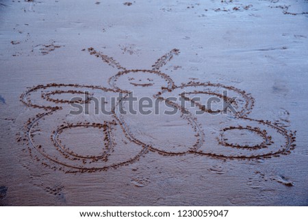 Butterfly drawn in the sand.