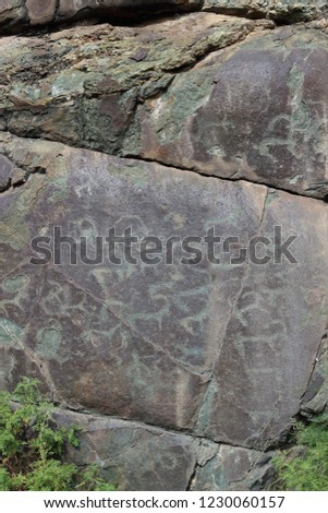ancient rock paintings on the rocks of the Altai Mountains. The pictures show the hunt for mountain goats, Altai Republic, Russia