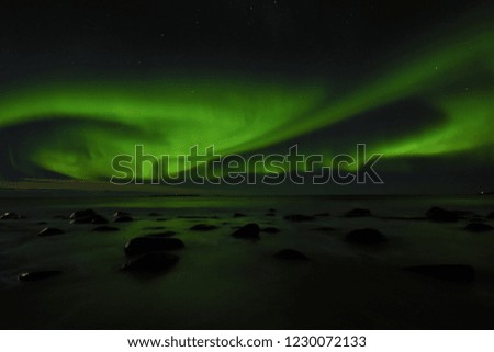 A vibrant picture of the northern lights flickering above the sea and rocks in Arctic Norway