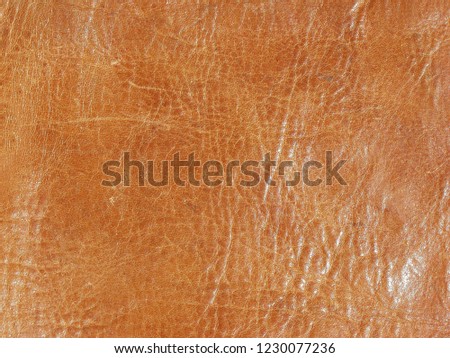 fine leather texture