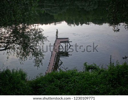 the Bank of the Oka river in summer, Russia