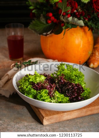 fresh lettuce leaves

salad in a white plate on a wooden table background. top view. copy space