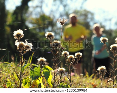 jogging in autumn outdoors, people out of focus