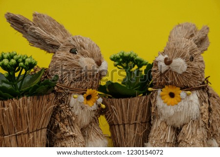 Easter Rabbits on yellow background
