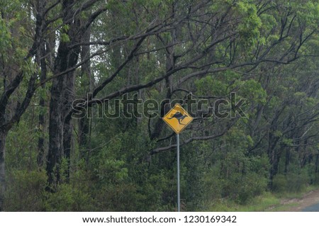 Yellow road sign with kangaroo silhouette. Road trip in Australia, Australian culture