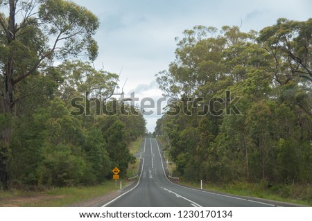 Australian outback road along bush, forest with yellow road signs. Australian outback infrastructure background