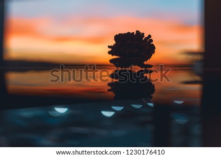 silhouette of a pinecone on glossy table, sunset, sunrise, beautiful colour of autumn sky, fall,