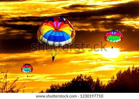 People are gliding with parachutes on the background of sunset.