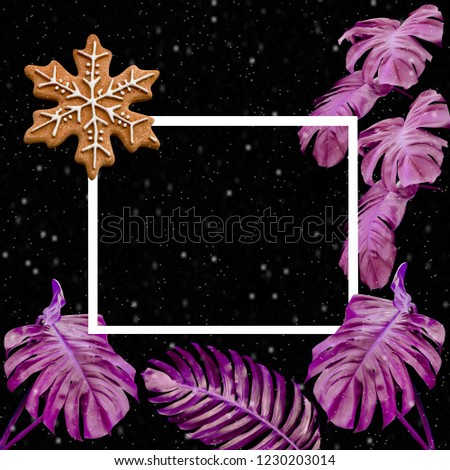 snowflake-shaped with colorful monstera leaves pattern on black background for christmas and new year concept 