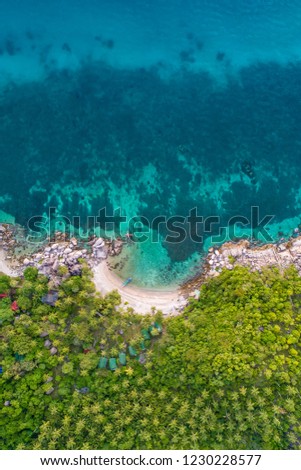 Jansom Bay, Koh Tao, Thailand Birds Eye View Drone Aerial Top Down View of Marine Water Coral Ocean Natural