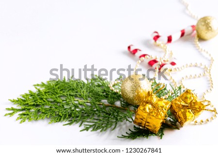 Christmas background decoration with fir tree and gift festive on white background composition with border and copy space design.