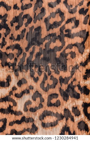 Leopard pattern cothes textuer


