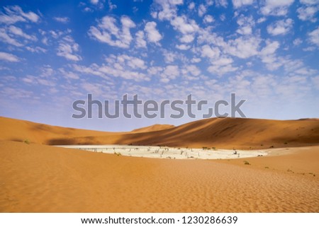 Pictures of Dead vlei, Sossus vlei, Namibia     