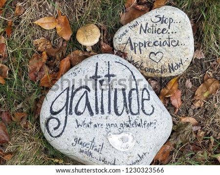 Gratitude  What are you grateful  rock  Royalty-Free Stock Photo #1230323566