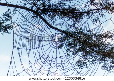 Web chain in the nature