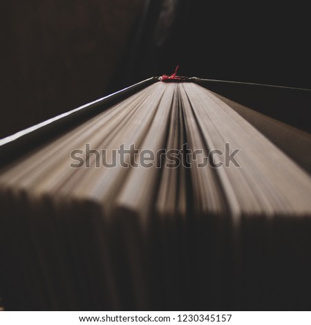 Details of book pages vintage look 