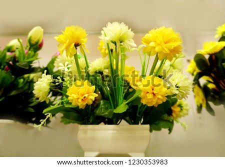          
Beautiful and colorful flowers are arranged in a row.                       