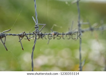 Metal wire, spike fence or stockade used to barricade the area. Selected focus object.