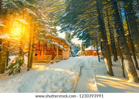 Beautiful winter landscape with snow covered trees. Forest with snow landscape and chalets. Cumalikizik, Uludag National Park, Bursa, Turkey.