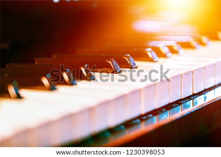The piano was set up in the music room by the windows in the morning to allow the pianist to rehearse before the classical piano performance in celebration of the great businessman's success. Royalty-Free Stock Photo #1230398053