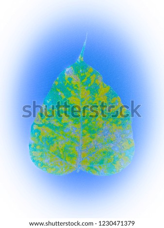 Colorful Banyan leaf on blue fabrics background.