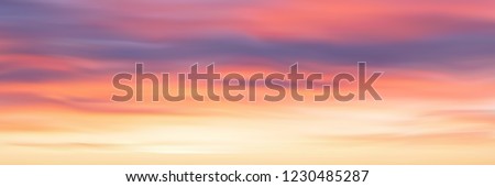 Realistic bright sunset, panoramic image, vector background, EPS10