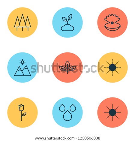 World icons set with wood, sun, mountains and other love flower elements. Isolated vector illustration world icons.