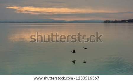 Two burds flyoing lkow over a lake