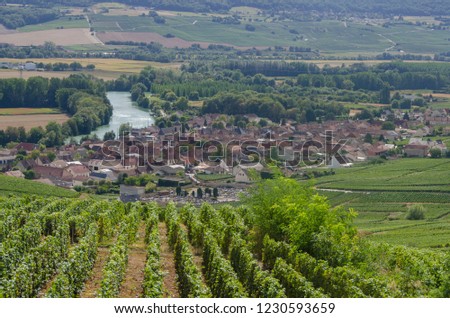 Vineyards of Epernay France