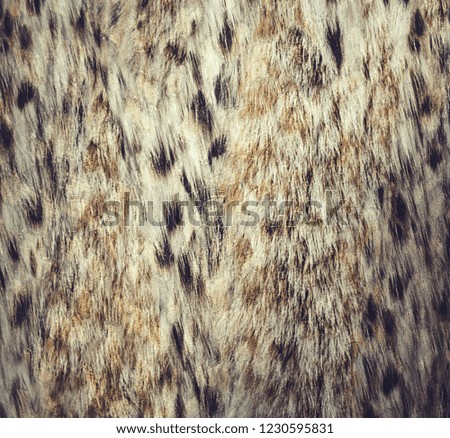 Close up leopard spot pattern texture background. wallpaper