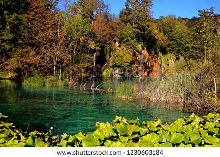 a beautiful landscape in the Plitvice Lakes National Park. Beautiful Croatia. Europe.