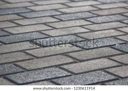 city paving tiles. paving slabs.