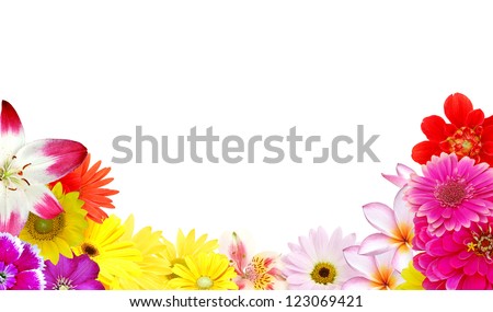 Beauty mix flowers frame isolated white background