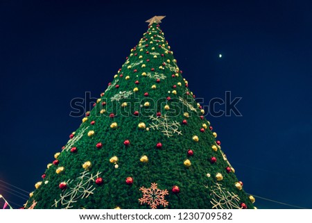 Christmas Carols,Closeup of Christmas tree and lights background
