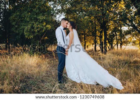 Stylish groom holds the hand of a cute bride at sunset in sunny weather. Beautiful newlyweds are standing in a yellow field. Wedding evening photo. Family natural portrait.