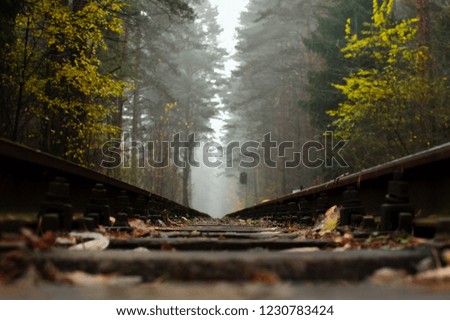 Railway, fog in the forest. Fallen yellow leaves on wooden sleepers. Cloudy autumn weather in November.