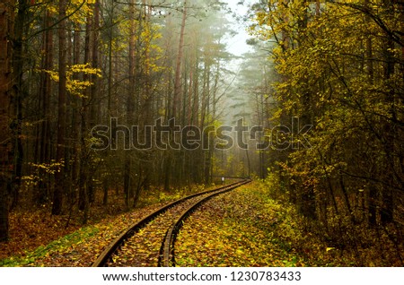 Railway, morning fog in the forest after the rain. Train tracks winding between autumn colored trees. Cloudy weather in November.