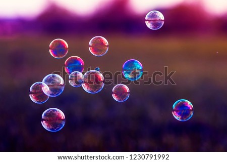 festive beautiful background with flying bubbles shimmering in the sun in lilac tones