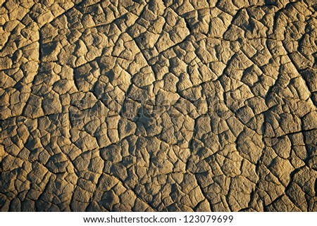 The dry, cracking floor of Death Valley National Park