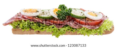 Salami Sandwich isolated on white background
