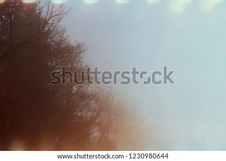 Vintage film, light leak on a tree line in the fog