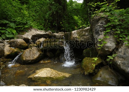 Waterfall green forest river stream landscape. Beautiful green nature concept, artistic bright green trees