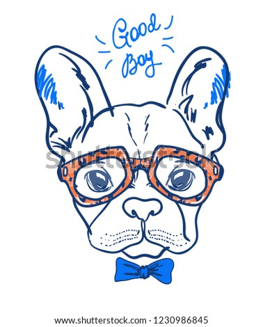 Portrait of a bulldog in leopard orange  glasses and blue bow tie on white background. Vector illustration. T-shirt print.
