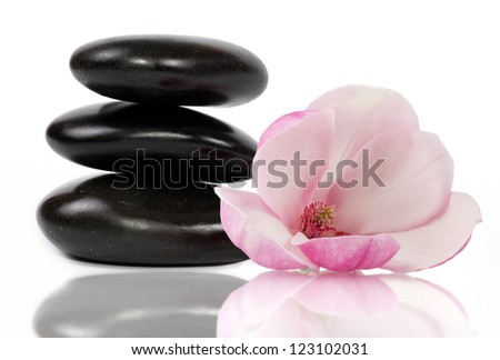 Zen stones and beautifl magnolia flower, white background