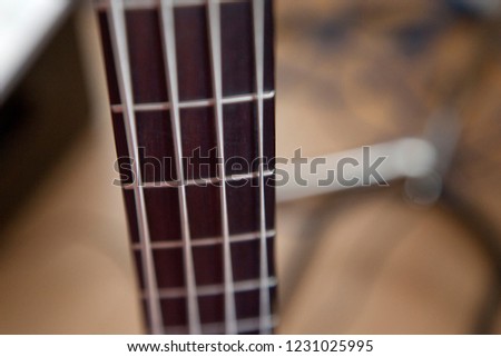 Soft focus on the wooden frets and metal strings of a bass guitar