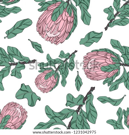 seamless pattern with illustrations of protea flowers. floral drawing by hand. Use for background, scrapbooking, textiles, paper, cards, invitations