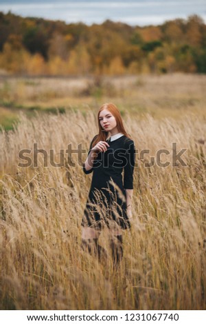 beautiful red-haired woman in a black dress walks on an autumn field. toning