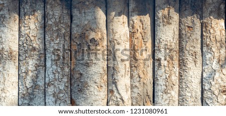 Old wooden fence with shadows over it