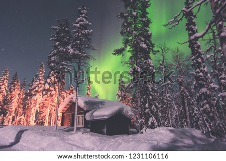 Beautiful night picture of massive multicolored green vibrant Northern Lights, Aurora Borealis, Aurora Polaris in the night sky over winter Lapland landscape, Finland, Scandinavia

