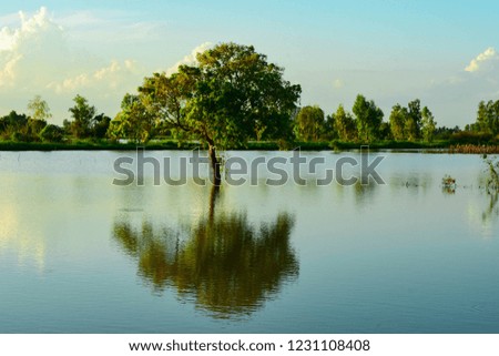 Reflections on the surface of trees and buildings in the flooded areas of Thailand, Laos, Cambodia, Burma, the Philippines, Southeast Asia.
